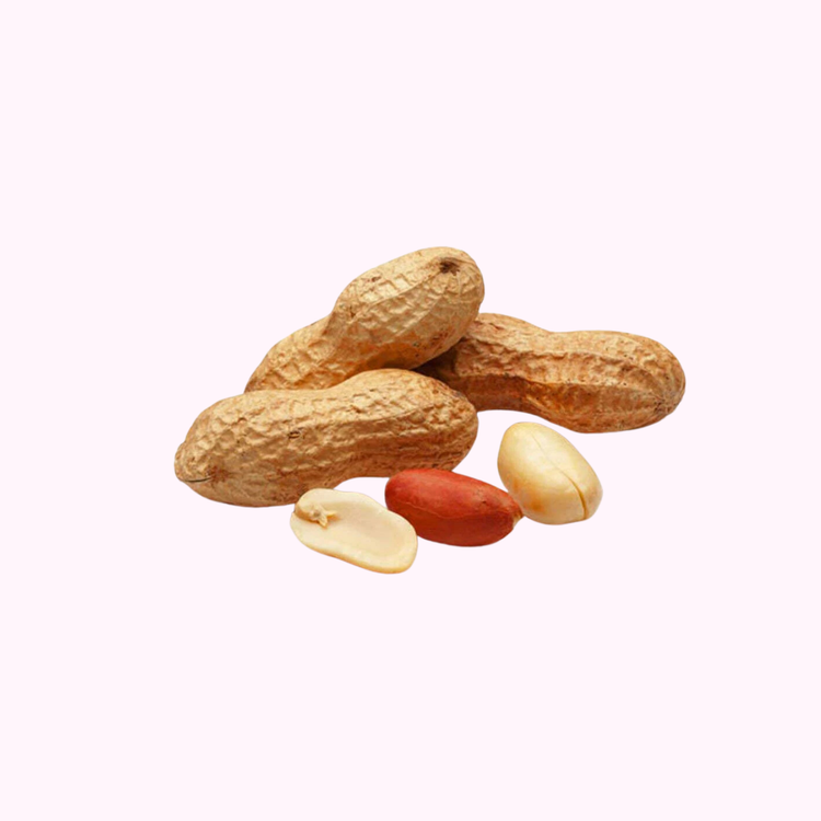 Groundnut