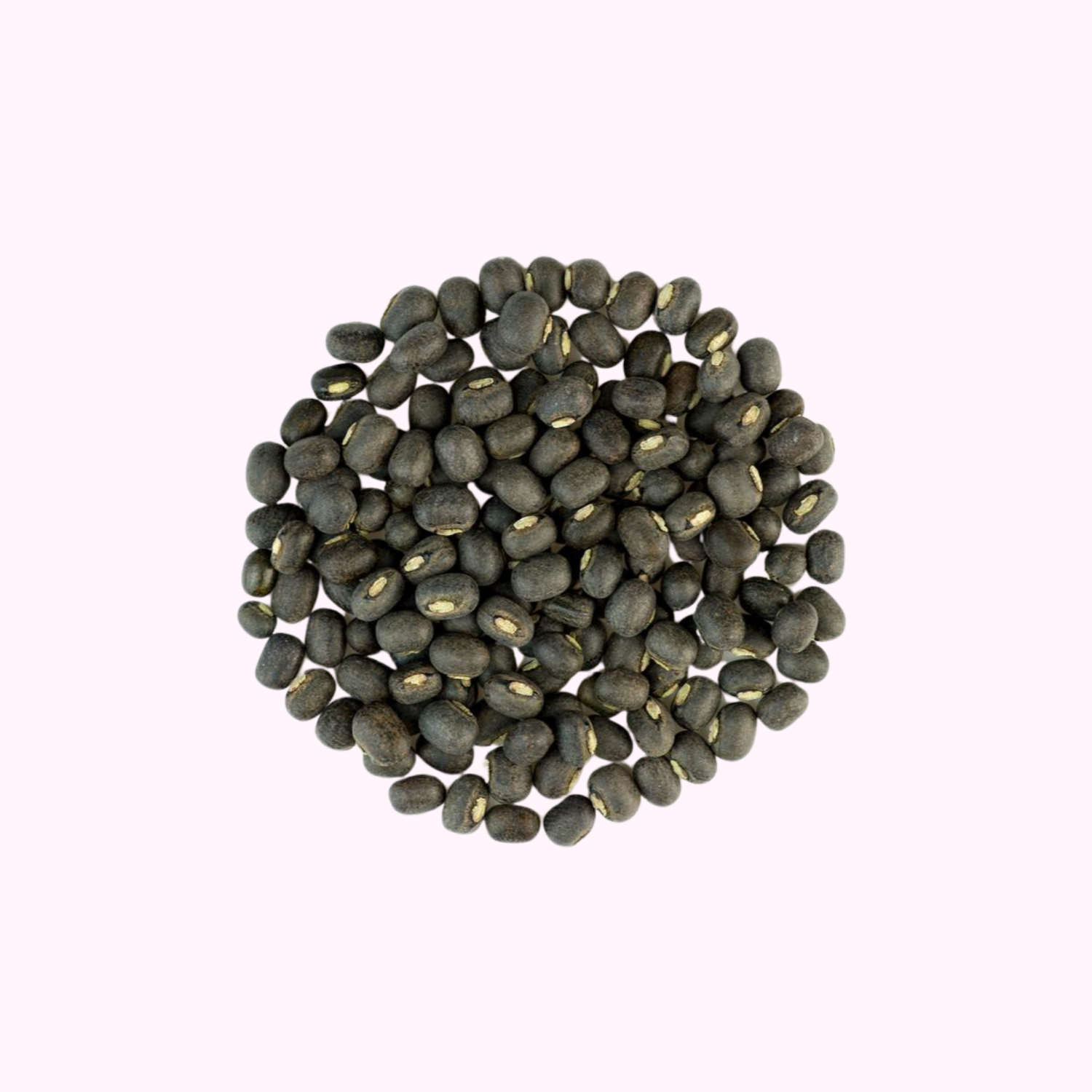 Urad